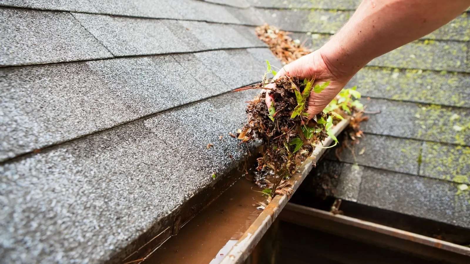 Roofline gutter cleaning service in Chicago IL